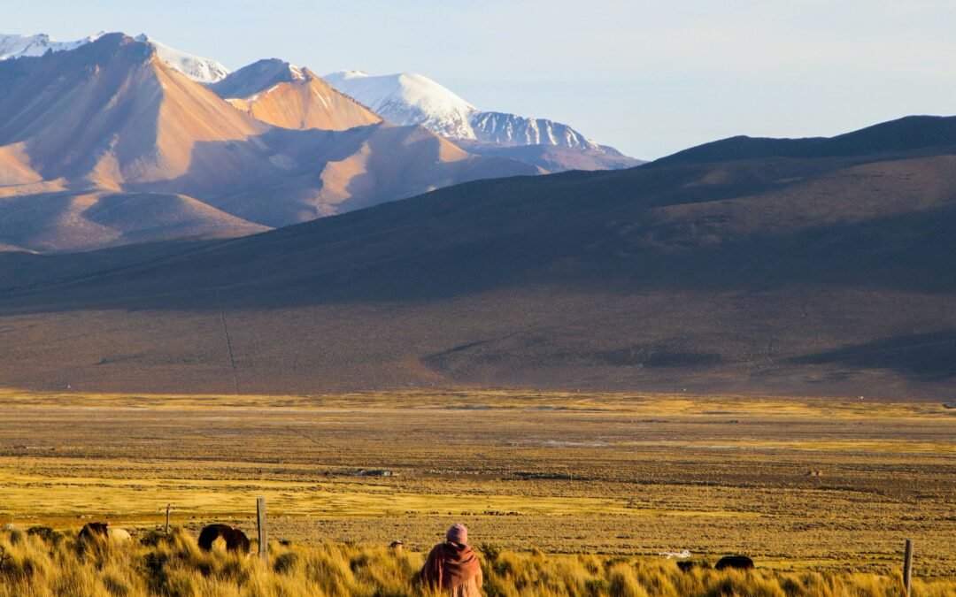 Where To See The 10 Tallest Volcanoes On The Planet