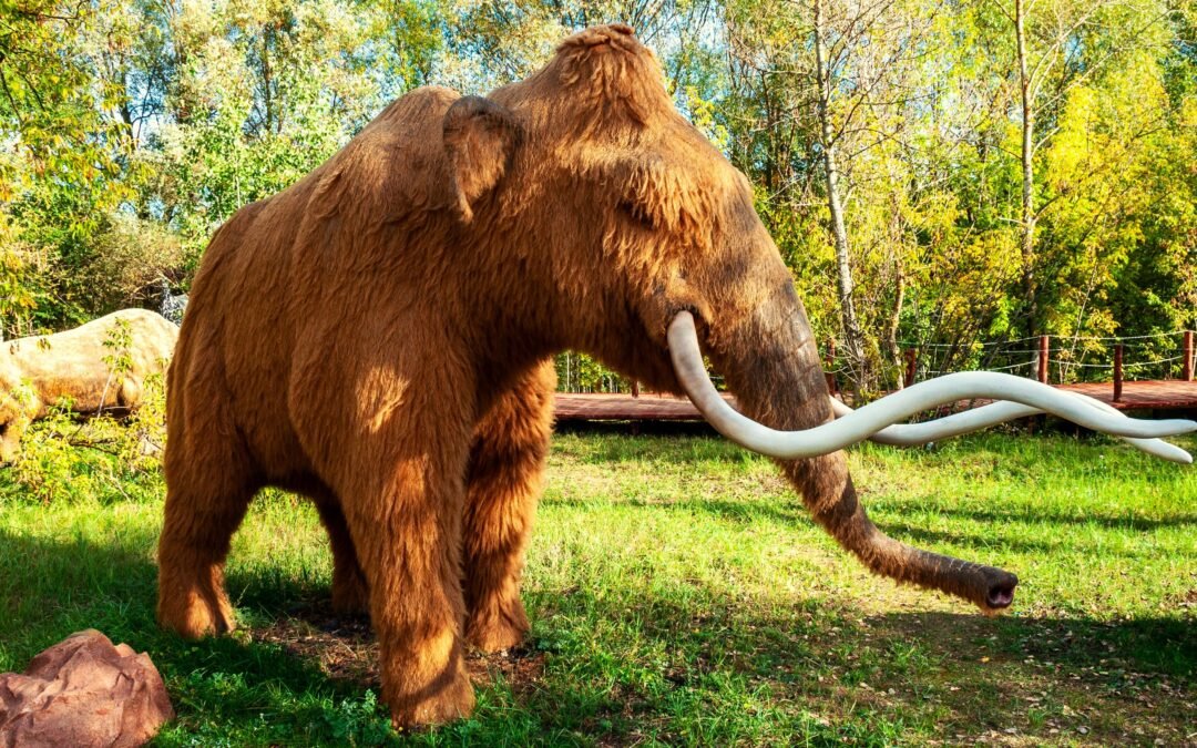 8 Extinct Creatures That Might Actually Still Exist